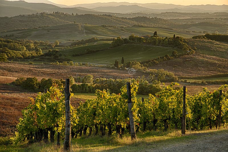 Sonnenuntergang im Chianti stockbilder Sonnenuntergang im Chianti stockbilder