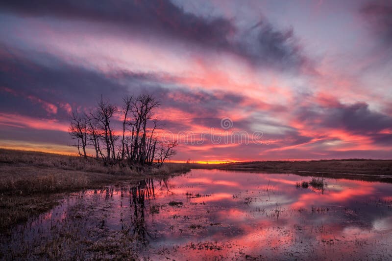 Sonnenuntergang in Saskatchewan stockfotografie Sonnenuntergang in Saskatchewan stockfotografie