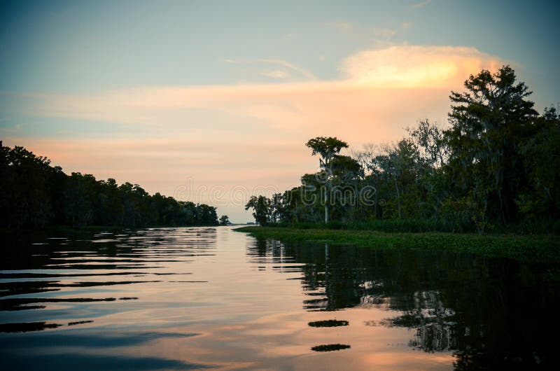 Sonnenuntergang über dem Bayou stockbild Sonnenuntergang über dem Bayou stockbild