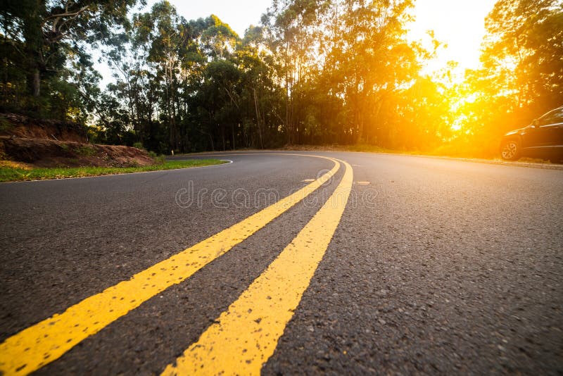 Sonnige Waldasphaltstraßekurve mit Markierungslinien zur Sonnenuntergangzeit