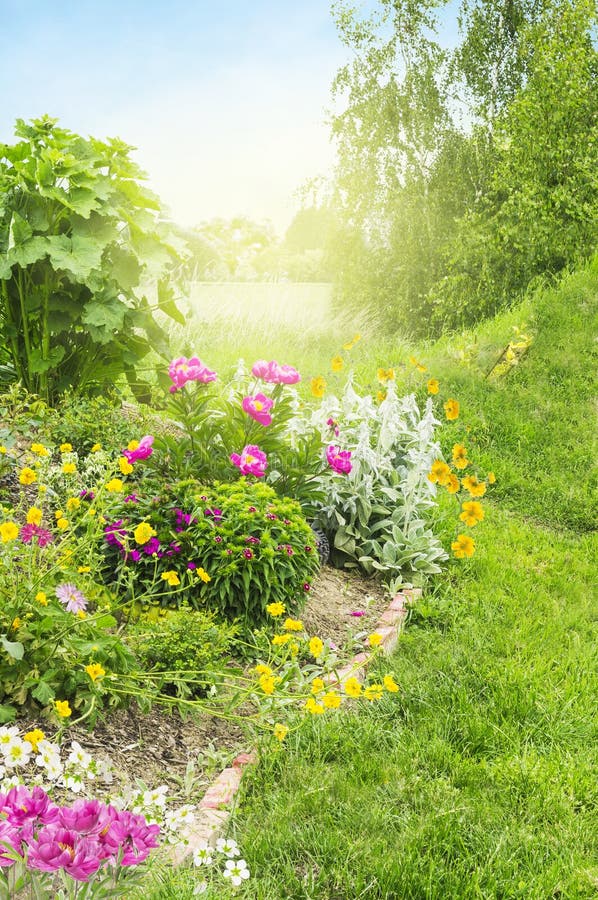 Sonniger Garten mit Blumenbeet stockfotos Sonniger Garten mit Blumenbeet stockfotos