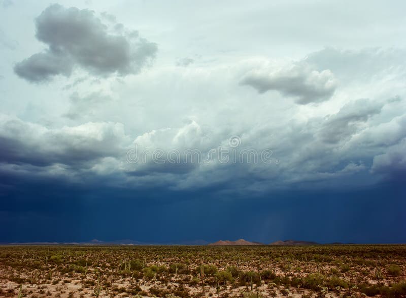 Sonora Desert