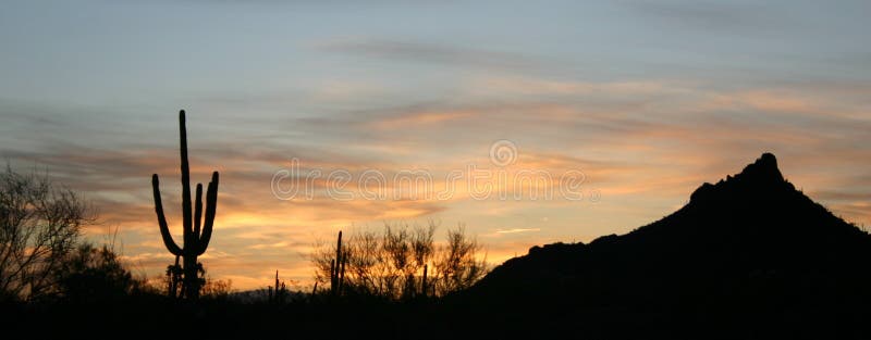 Sonora sunrise stock photography