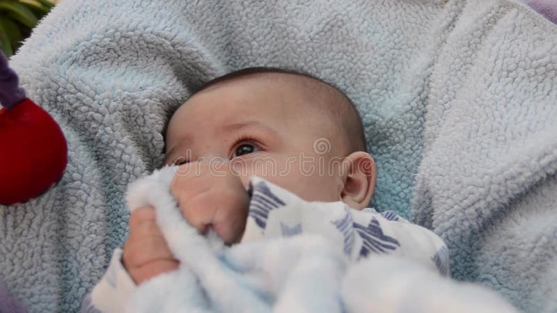 Sonrisa tímida de los meses lindos del árbol mientras que se sienta en gorila