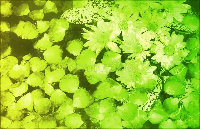 Soothing Zen Abstract