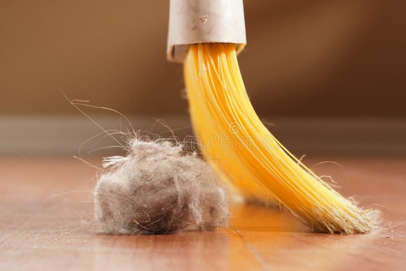 A broom about to sweep up a giant ball of dust. A broom about to sweep up a giant ball of dust