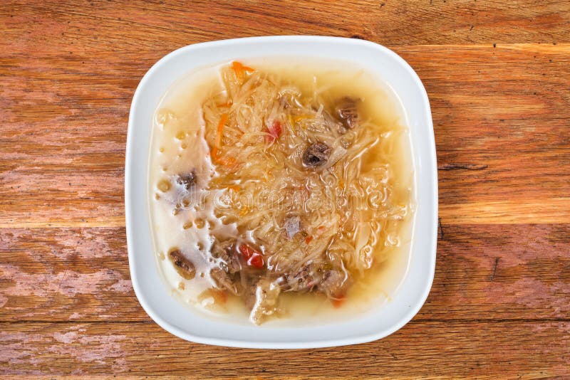 Sopa de la col con la chucrut guisada en la placa blanca imágenes de archivo libres de regalías Sopa de la col con la chucrut guisada en la placa blanca imágenes de archivo libres de regalías