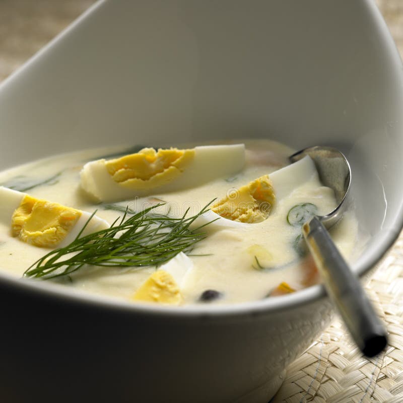 Sopa del eneldo fotografía de archivo Sopa del eneldo fotografía de archivo