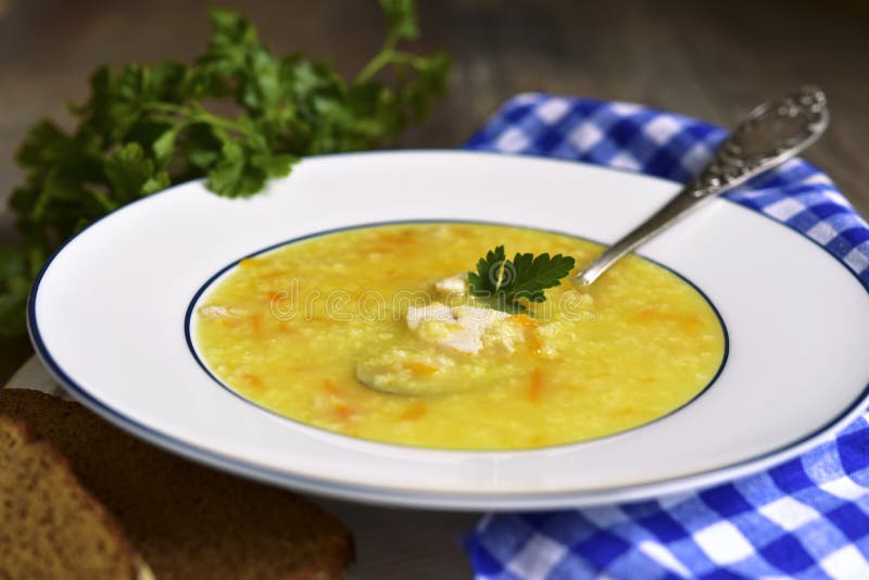 Sopa del mijo con el pollo y la verdura frita foto de archivo libre de regalías Sopa del mijo con el pollo y la verdura frita foto de archivo libre de regalías