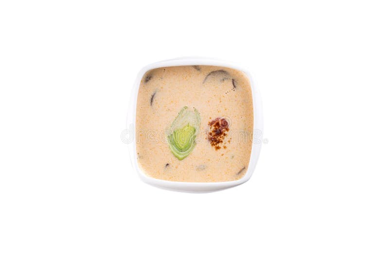 Sopa poner crema con el puerro en el cuenco cuadrado aislado en el fondo blanco fotografía de archivo Sopa poner crema con el puerro en el cuenco cuadrado aislado en el fondo blanco fotografía de archivo