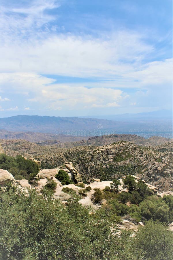 Soporte Lemmon, Santa Catalina Mountains, bosque del Estado de Coronado, Tucson, Arizona, Estados Unidos imágenes de archivo libres de regalías Soporte Lemmon, Santa Catalina Mountains, bosque del Estado de Coronado, Tucson, Arizona, Estados Unidos imágenes de archivo libres de regalías