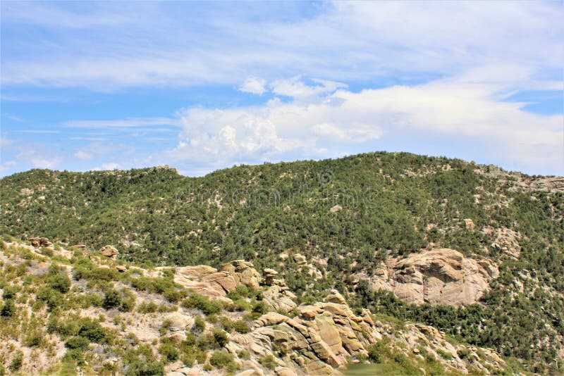 Soporte Lemmon, Santa Catalina Mountains, bosque del Estado de Coronado, Tucson, Arizona, Estados Unidos imagen de archivo Soporte Lemmon, Santa Catalina Mountains, bosque del Estado de Coronado, Tucson, Arizona, Estados Unidos imagen de archivo