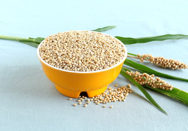 Sorghum in a Bowl