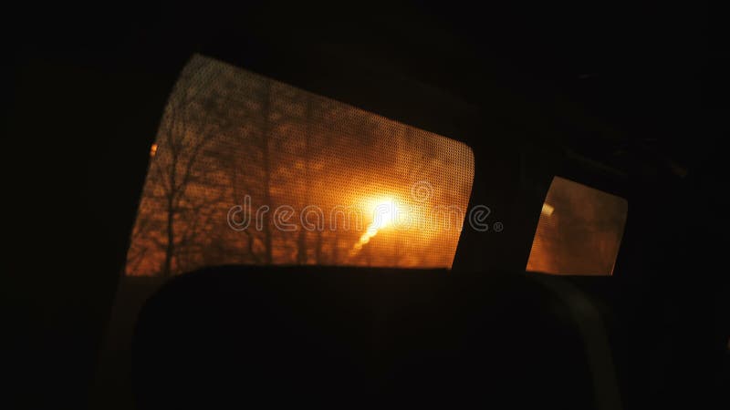 Sorprendente vista del cielo tramonto tra gli alberi dalla finestra del treno in movimento, pensiero ponderato dell'umore in slow