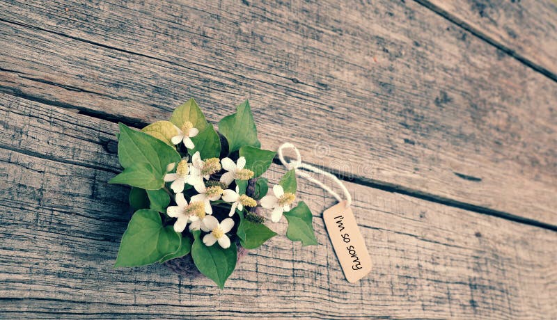 Sorry background with white tiny flower on old wooden, I'm so sorry text is message when make hurt for someone. Condolence letter background stock images, royalty-free photos and pictures