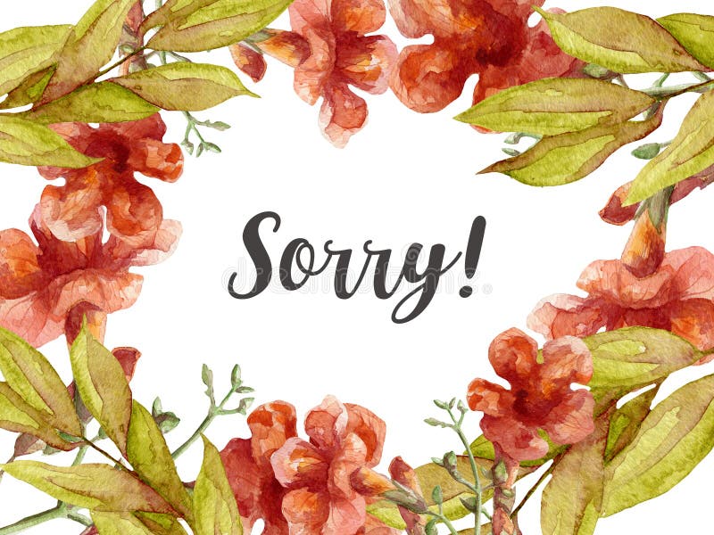 Sorry Card with Watercolor Flowers Stock Illustration Illustration of