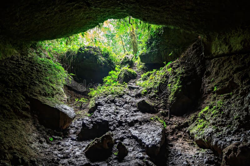 Sortie d'une grotte vue de l'intérieur On peut voir des lianes et la végétation d'une jungle images stock Sortie d'une grotte vue de l'intérieur On peut voir des lianes et la végétation d'une jungle images stock