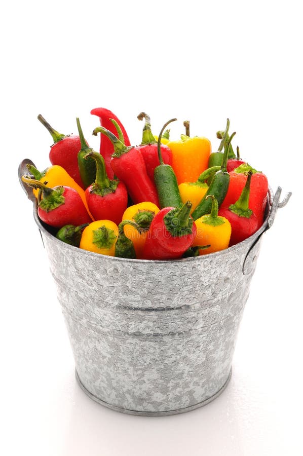 Sortierte Pfeffer im Eimer lizenzfreies stockbild