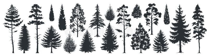 Sosen sylwetki Wiecznozielone lasowe jodły i świerczyny czerni kształty, dzicy natur drzew szablony Wektorowy las