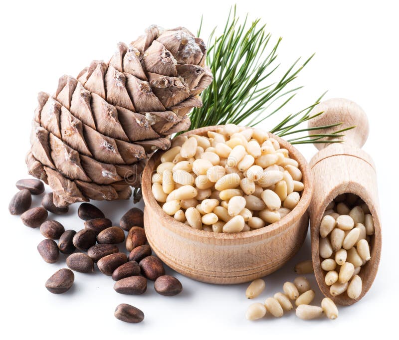 Sosnowej dokrętki szyszkowe i sosnowe dokrętki na białym tle Żywność organiczna zdjęcie stock Sosnowej dokrętki szyszkowe i sosnowe dokrętki na białym tle Żywność organiczna zdjęcie stock