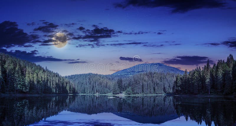 Sosnowy las i jezioro blisko góry wcześnie przy nocą