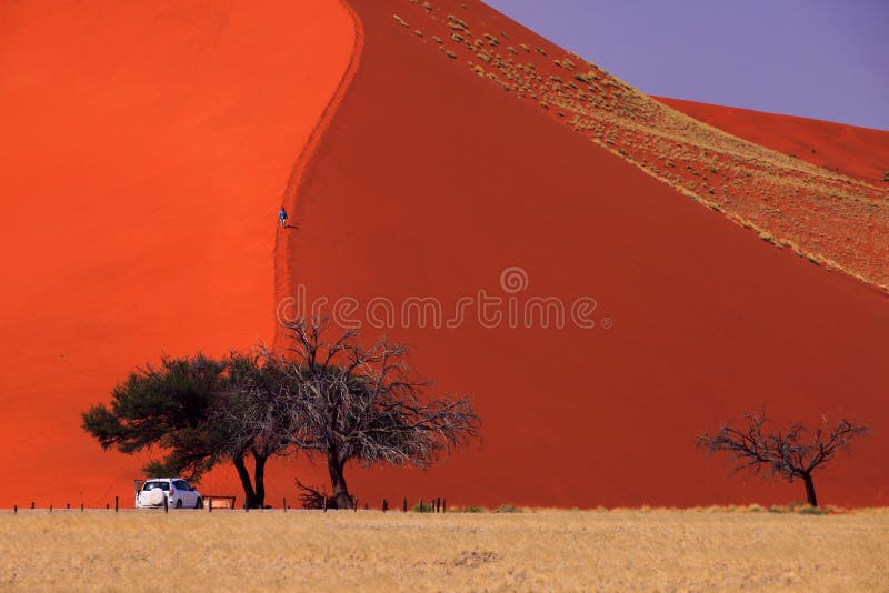 Sossusvlei - Duin 45 royalty-vrije stock foto Sossusvlei - Duin 45 royalty-vrije stock foto