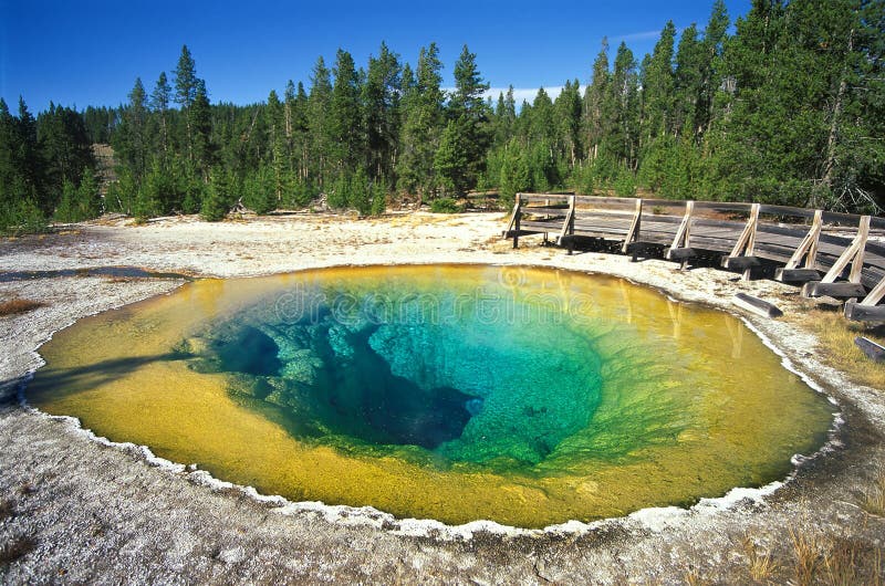 Sosta nazionale del Yellowstone
