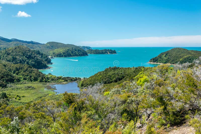 Sosta nazionale di Abel Tasman fotografia stock Sosta nazionale di Abel Tasman fotografia stock