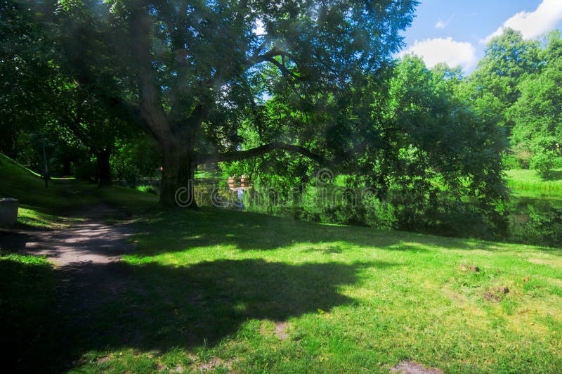 Sosta verde di estate immagini stock libere da diritti Sosta verde di estate immagini stock libere da diritti