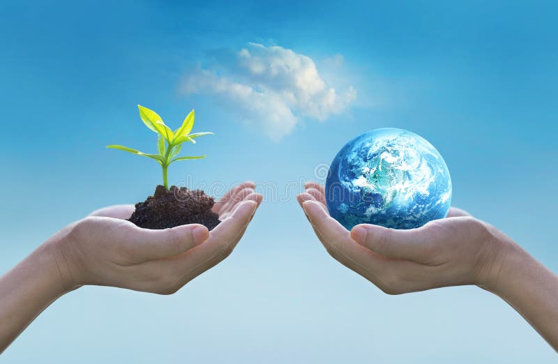 Sostener la tierra y el árbol verde en manos, concepto del día del ambiente mundial, árbol joven creciente de ahorro