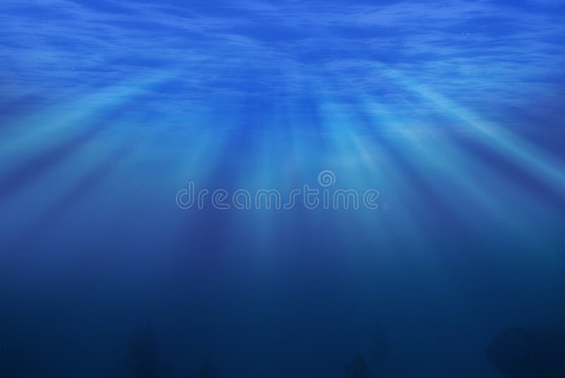 Sotto il mare fotografia stock Sotto il mare fotografia stock