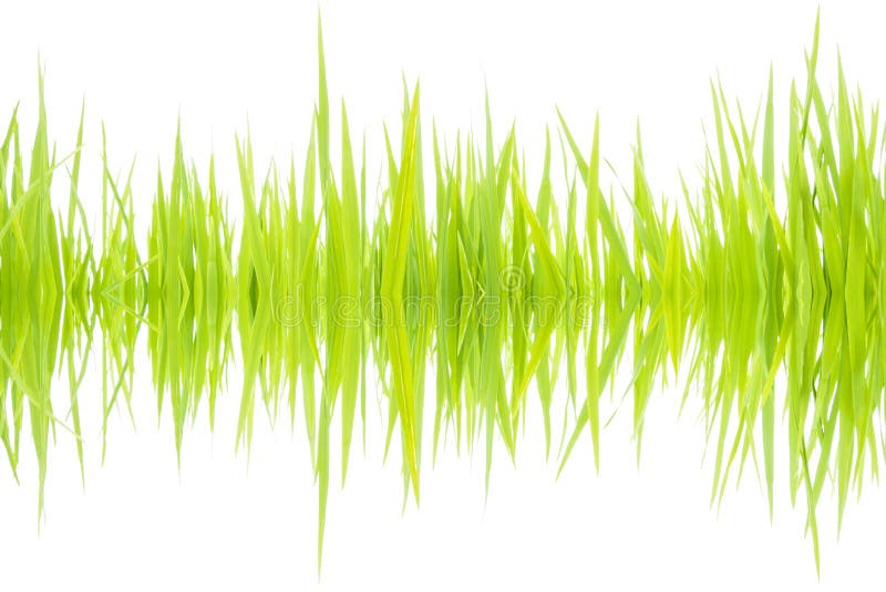 Sound waves 001 stock images Sound waves 001 stock images