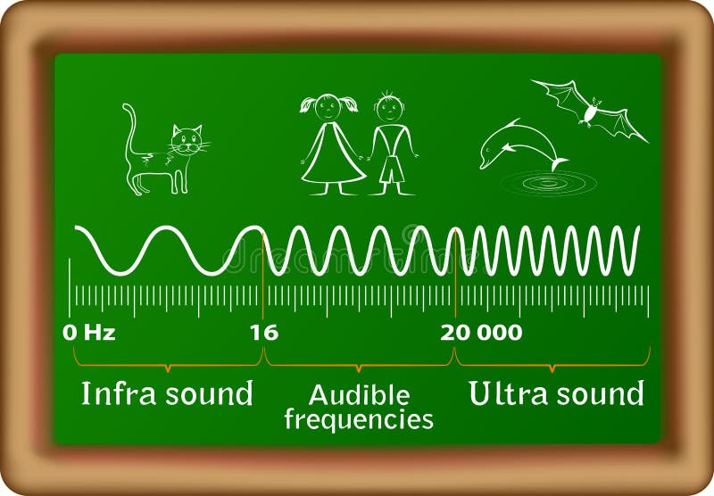 The sound waves vector diagram stock illustration