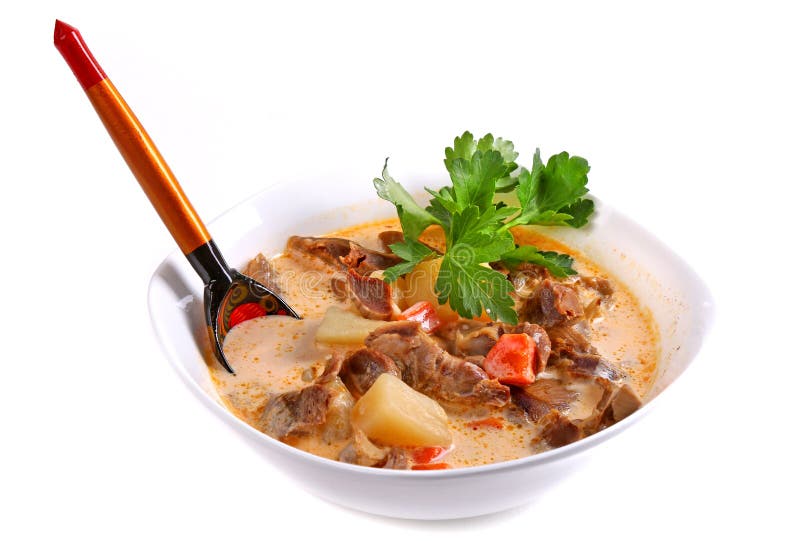 Soup with Beef and Mushrooms Stock Image Image of mixture, dinner
