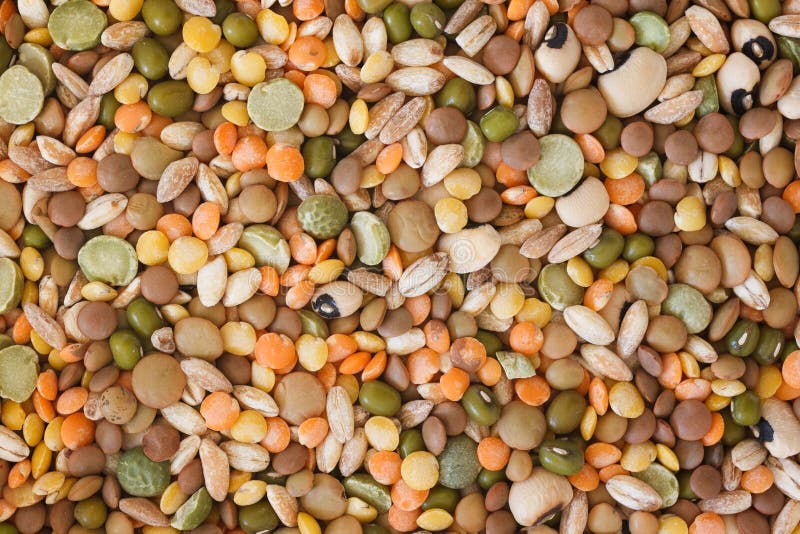 Soup of Cereals and Legumes Stock Image Image of recipe, blend 237979519