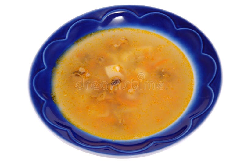 Soup in a dish stock photo. Image of parsley, dishware 10381320