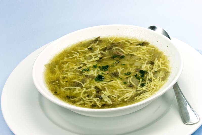 Goose noodle soup stock photo. Image of meal, tasty, homemade 46678944