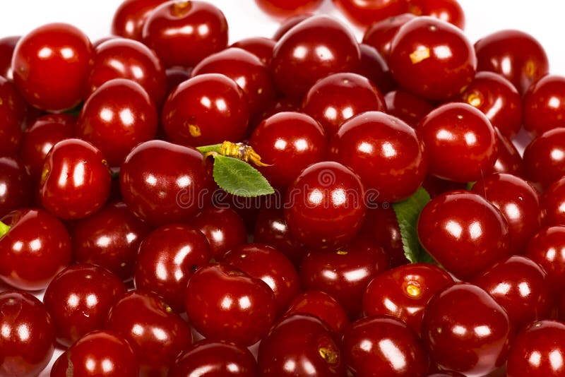 Sour Cherries Picture. Image 9945117