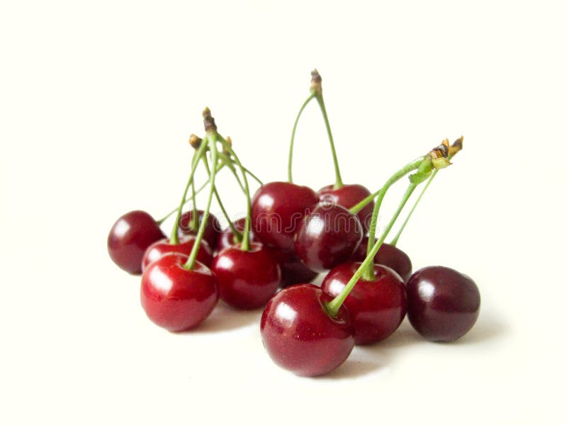 Sour cherry