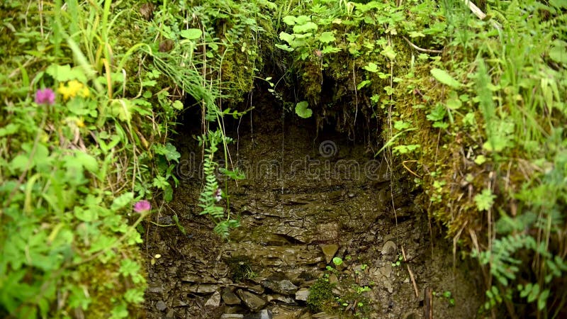 Source de montagne source eau propre source d'eau minérale pure pour les touristes banque de vidéos