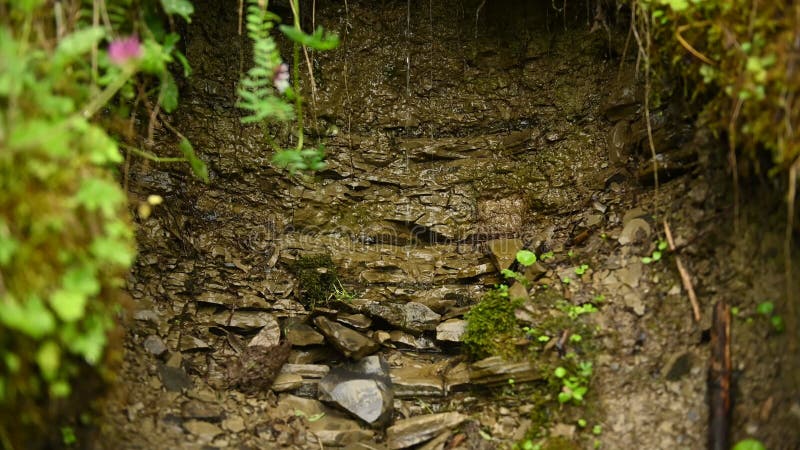 Source de montagne source eau propre source d'eau minérale pure pour les touristes clips vidéos