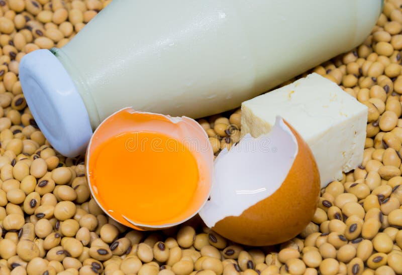 Protein Egg Drink stock photo. Image of muscle, dairy 7730310