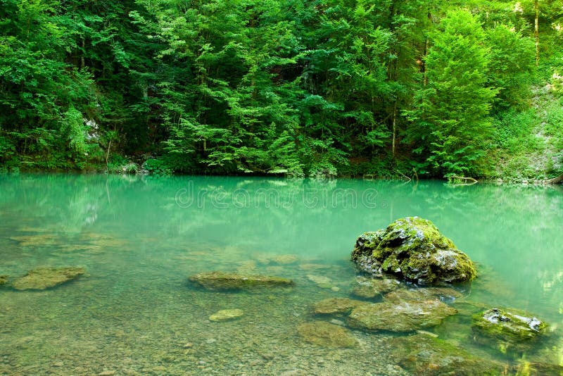 The source of the river Kupa in forest