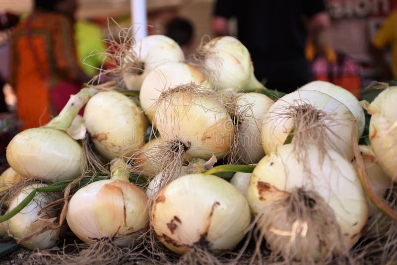Market Onion
