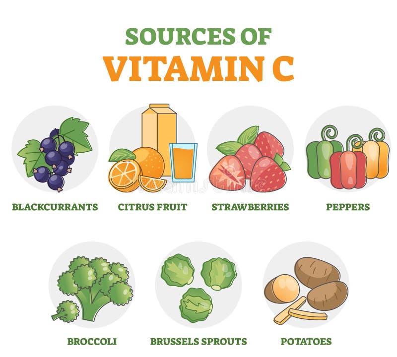 Sources of vitamin C as food supplement in diet products outline diagram