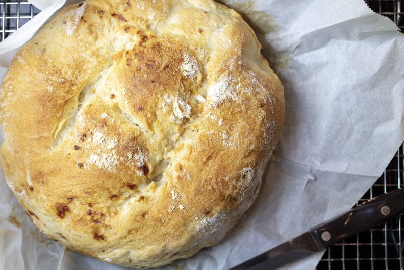 Sourdough Cheese Loaf Bread on a Kitchen Rack Cooling after Baking in