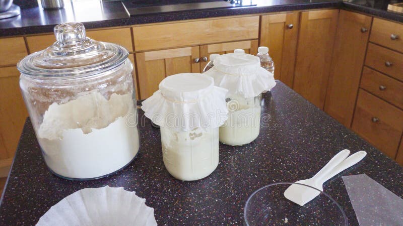 Sourdough starter stock image. Image of home, sourdough - 272360177