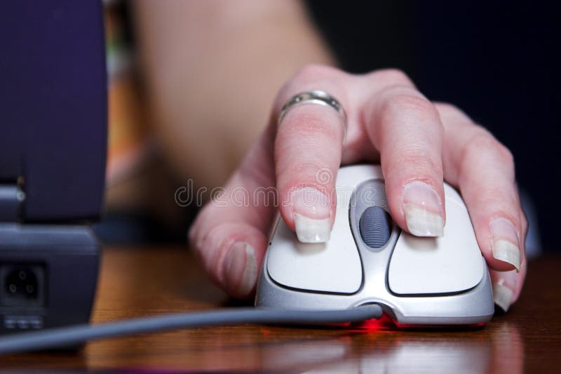 Souris images stock Souris images stock