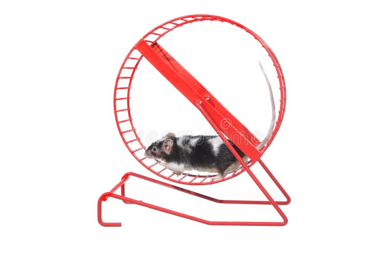 Chariot De Blanchisserie. D'isolement Image Stock - Image Du Métal, Blanchisserie: 14687359