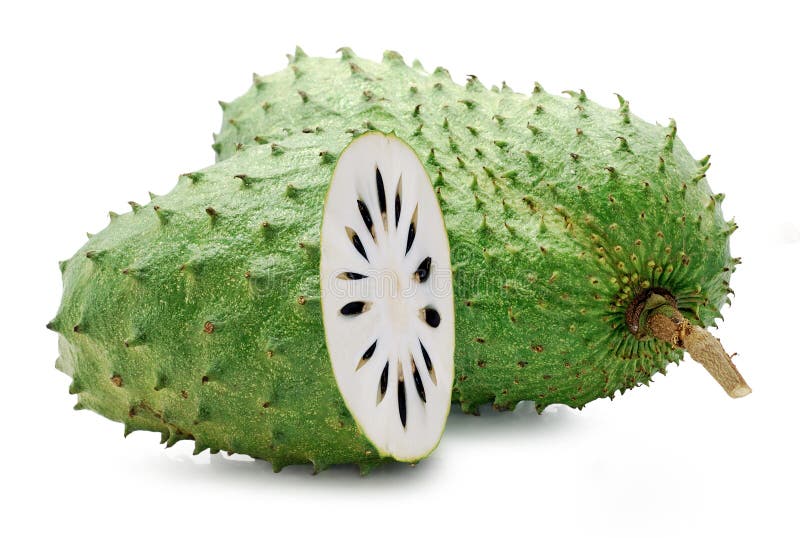 Soursop Or Custard Apple Fruit Isolated On White Background Stock Photo Image Of Food Isolated Soursop Or Custard Apple Fruit Isolated On White Background Stock Photo Image Of Food Isolated